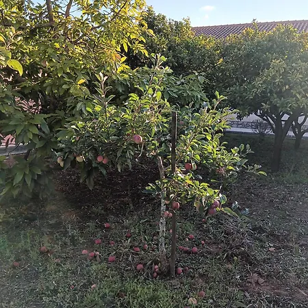 Casa Com Arte - Hospitality & Rural Impact בית נופש
