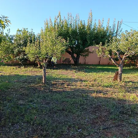 Casa Com Arte - Hospitality & Rural Impact Vermelha